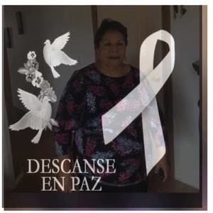 Meet your Posher, Verónica